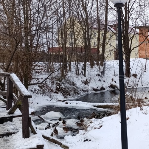 На поиски средневековых прусских городов — из Калининграда