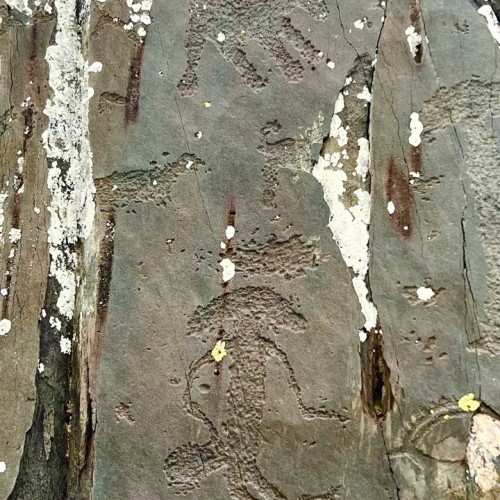 Волшебный Алтай: на джипах и пешком по предгорьям и склонам