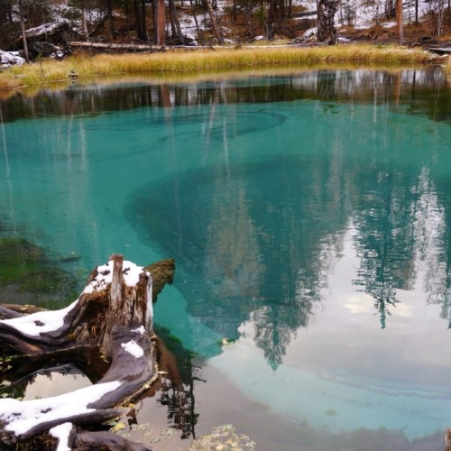 50 оттенков золота: путешествие по сентябрьскому Алтаю в мини-группе