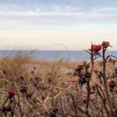 Кёнигсбергская перезагрузка: Калининград, Янтарный и Балтийск с проживанием в экоотеле на побережье