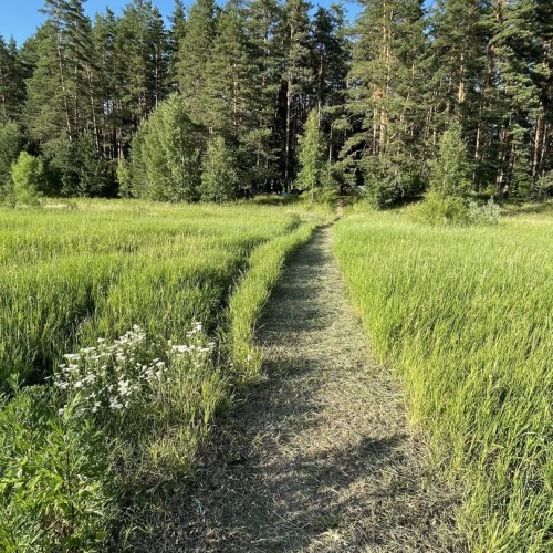 Детокс на Тверце: сплав на байдарках с посещением Торжка и «Василёво»