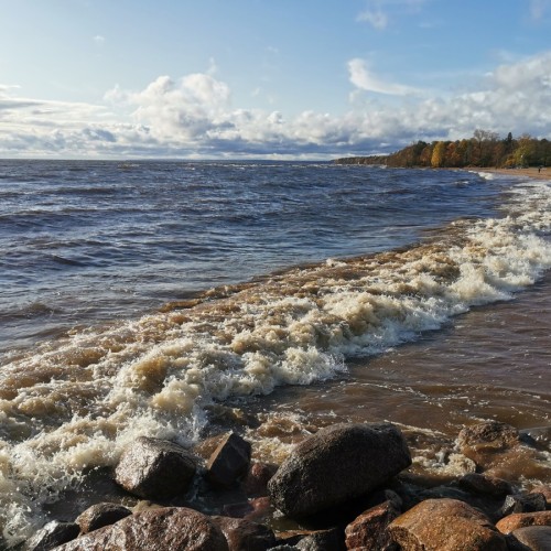 Вдоль курортного берега: Лисий Нос, Разлив, Сестрорецк, Репино, Комарово