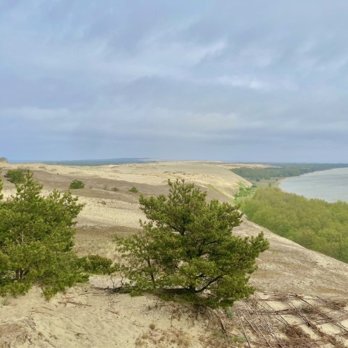 В небольшой группе — на Куршскую косу, в Зеленоградск!