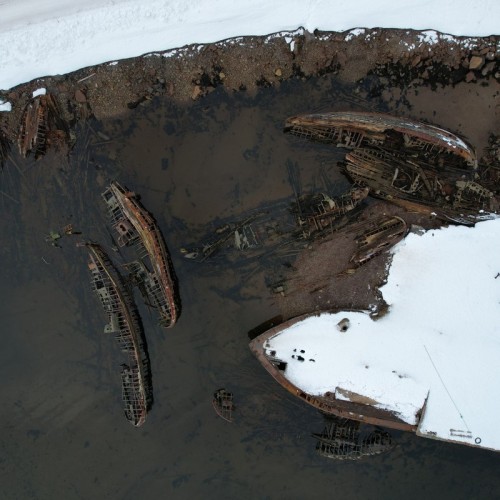 Экспресс-тур по Арктике в мини-группе: Териберка, северное сияние, гастрономия, хаски и олени