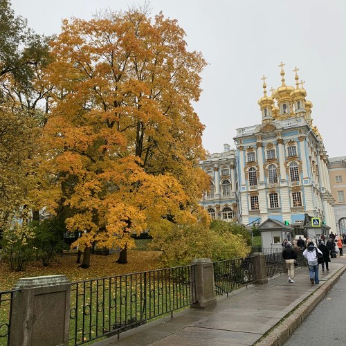 В Екатерининский дворец и Лицей — на машине из Петербурга