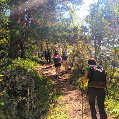 Семейный треккинг в Дигории с размещением в гостинице