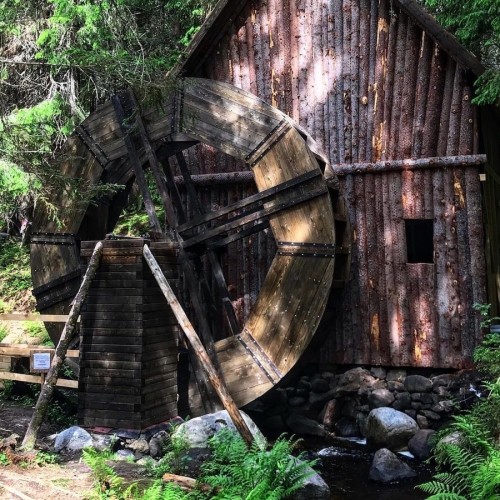 Долина водопадов и треккинг по карельскому лесу с хаски!