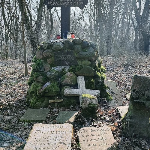 Замки Тевтонского ордена: Бальга и Бранденбург