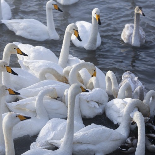 Топовые места Алтая в мини-группе: Гейзерное озеро, Чуйский тракт, долина Горных духов и Патмос