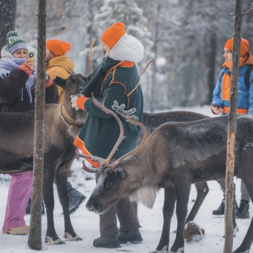 На Север за впечатлениями: северное сияние, Териберка, саамская деревня, хаски и олени