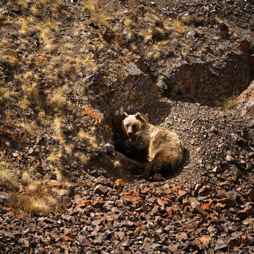 Наедине с Алтаем: высокогорные озёра, живописные долины и неземной ландшафт (всё включено)