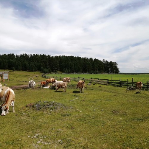 Индивидуальное путешествие из Иркутска в Монголию на выходные