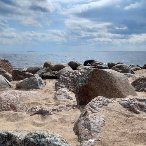 Приморский Парадиз — Сестрорецк, Репино, Комарово и Зеленогорск