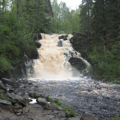 Два дня в Ладожской Карелии: тур из Петербурга