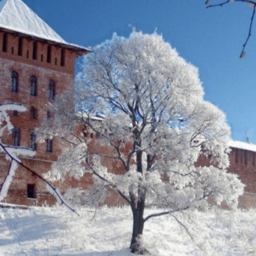 Великий Новгород, Изборск и Псков: два дня истории