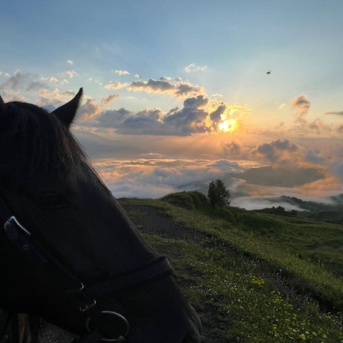 Верхом и на джипах по Чеченской Республике только для вашей компании