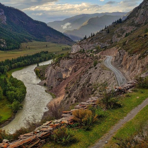 Лиловый наряд Алтая: путешествие по знаковым локациям и цветение маральника