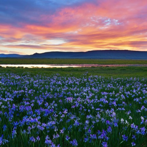 Природные чудеса Хакасии: урочище Сундуки, Ивановские озёра, Каменный лес и Долина царей
