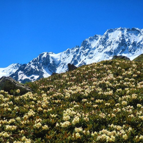 Треккинг налегке у подножия священной горы Уллу-Тау (комфорт размещения на выбор)