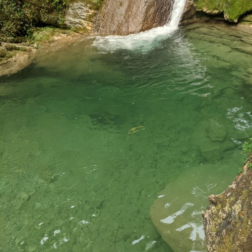 От сочинских водопадов до абхазских склонов: индивидуальный выезд