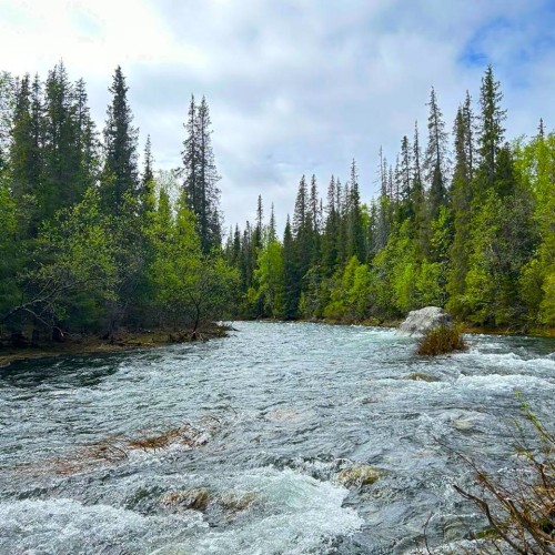 Большое приключение на Кольском в мини-группе: Териберка, корабли и красоты Арктики