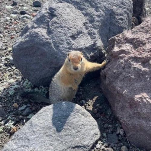 Камчатка в мини-группе: перевалы, бухты, сопки и купание в природных источниках