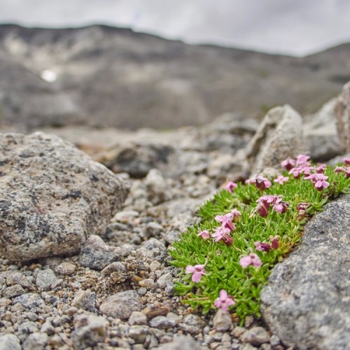 В Мурманск и Териберку из Санкт-Петербурга: Карелия, Кольский полуостров и города по пути