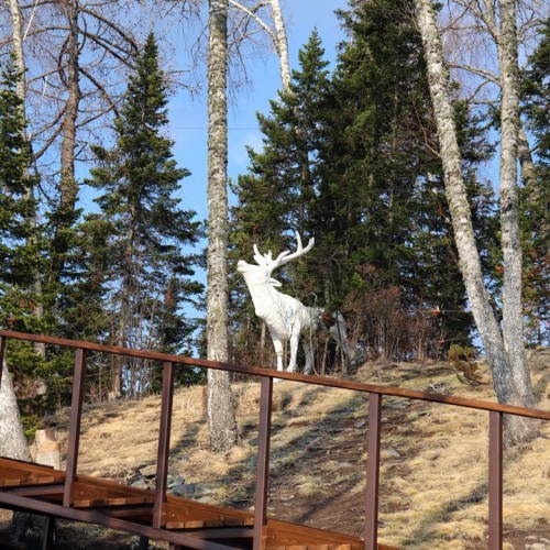 50 оттенков золота: путешествие по сентябрьскому Алтаю в мини-группе