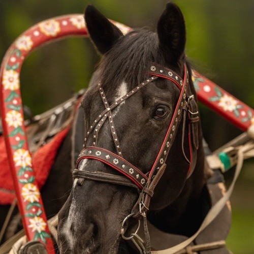 Конная прогулка по Павловскому парку с экскурсией!