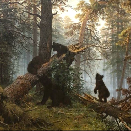 Экскурсия по выставке Шишкина в Русском музее