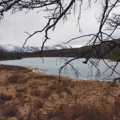 Фототур по золотому Алтаю в мини-группе: всё главное в живописный период