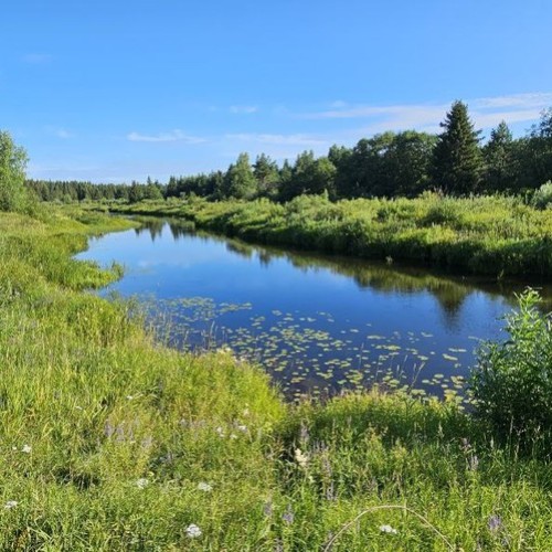 Подальше в лес: сплав на байдарках по реке Медведице
