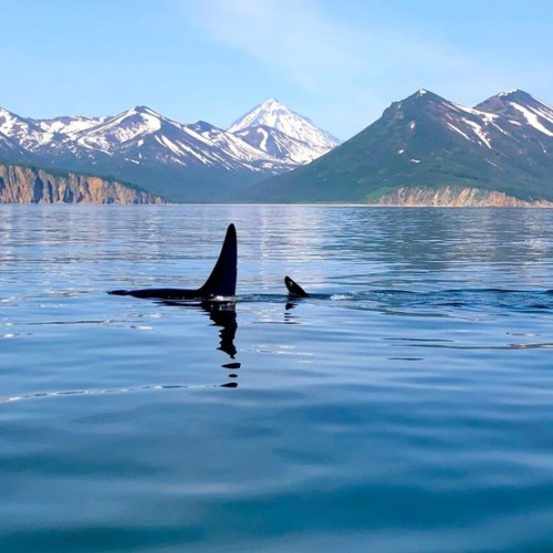 VIP-гастротур: изыски от шеф-поваров, морская прогулка с рыбалкой и мастер-класс