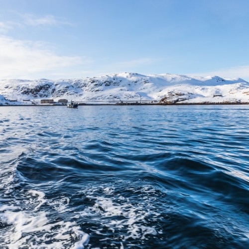 Выходные в Арктике в мини-группе: Мурманск, Кировск и Териберка
