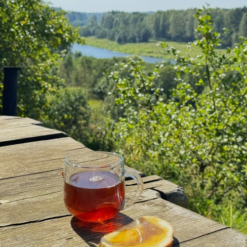 Выходные на Угре: рыбалка с обучением и отдых на природе (всё включено)