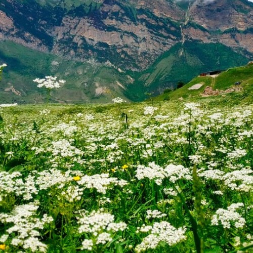 Семейный треккинг в Дигории с размещением в гостинице