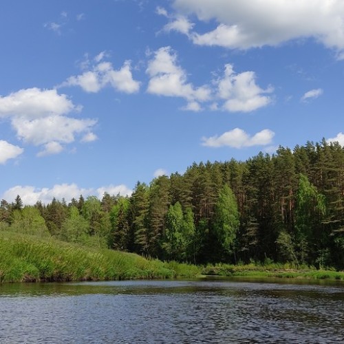 Сплав на байдарках по реке Осуге (всё включено)