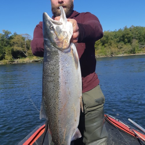 Рыбалка на камчатского лосося в мини-группе