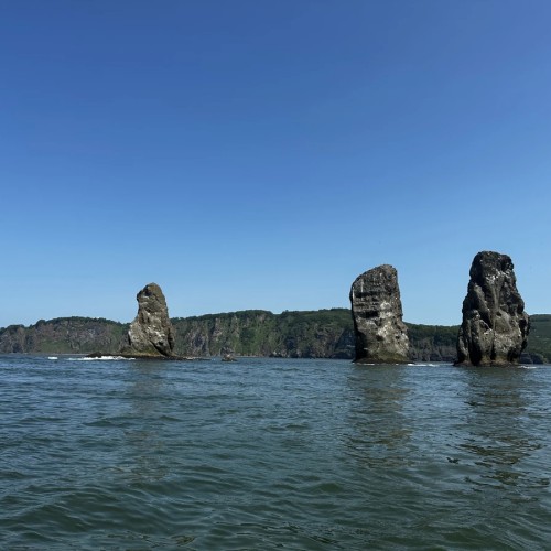 Путешествие к острову Старичков: морская рыбалка + крабовое сафари