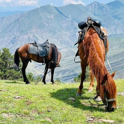Топовые и неизвестные локации Дагестана: невероятные пейзажи и увлекательные активности