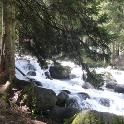 Всё лучшее на Кавказе — для вас: топ-локации, кухня, отдых на источниках, конная прогулка, рыбалка