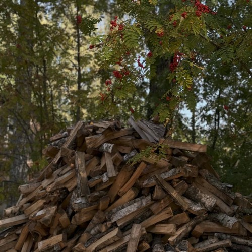 Выходные на Угре: рыбалка с обучением и отдых на природе (всё включено)