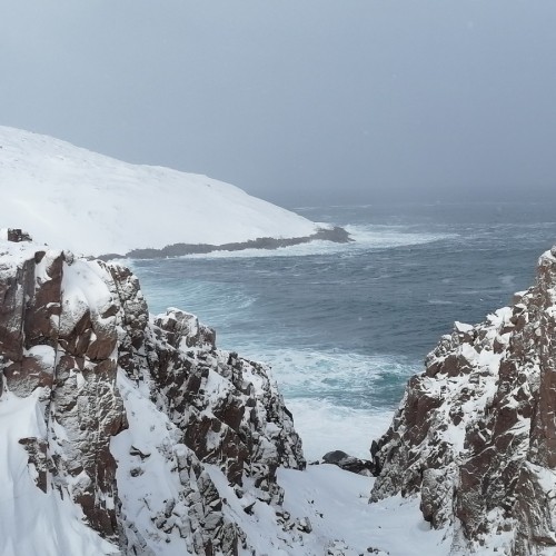 От океана до белоснежных гор: выезд-перезагрузка в Мурманск, Териберку и на «Большой Вудъявр»
