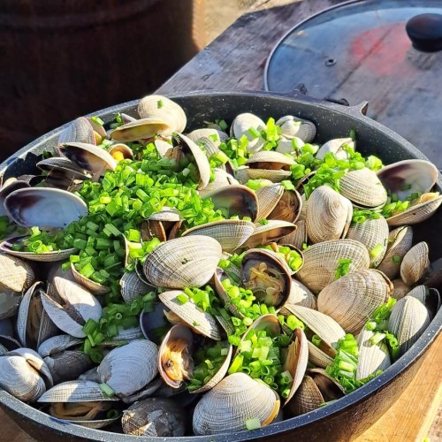 За деликатесами и к сивучам на Сахалин