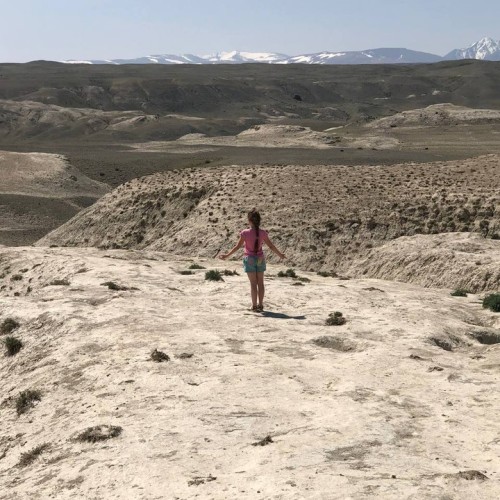 По цветущему Алтаю с выездом из Новосибирска и Горно-Алтайска: топовые места