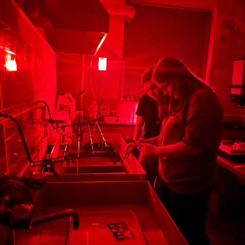 Фотография без камеры: мастер-класс по созданию фотограммы в Петербурге