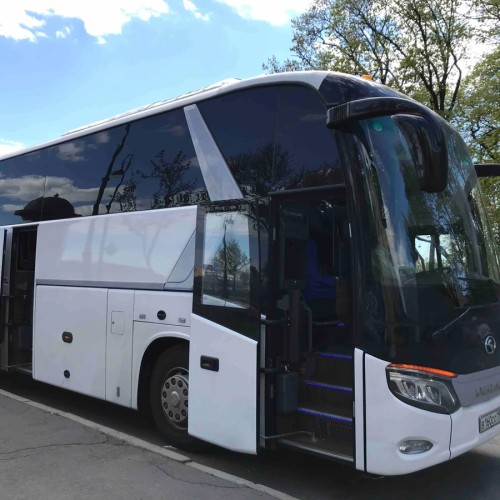 Парк и фонтаны Петергофа (всё включено)