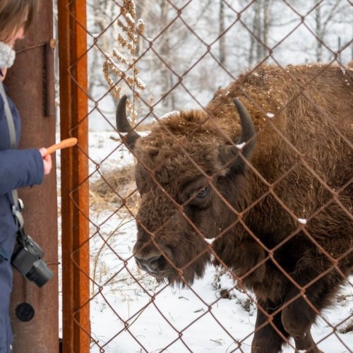 Тур по главным и редким местам Алтая на УАЗах: Чуйский тракт, горы, урочища, озёра и скалы