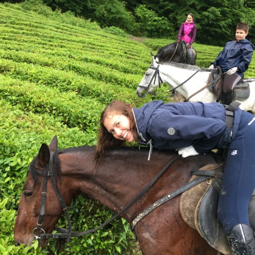 Приключения на лошадях в Сочи для новичков и опытных: по ущельям, долинам и лесам