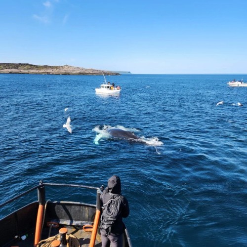 За атмосферой Арктики: тур из Мурманска в Териберку с дегустацией и прогулками по главным местам